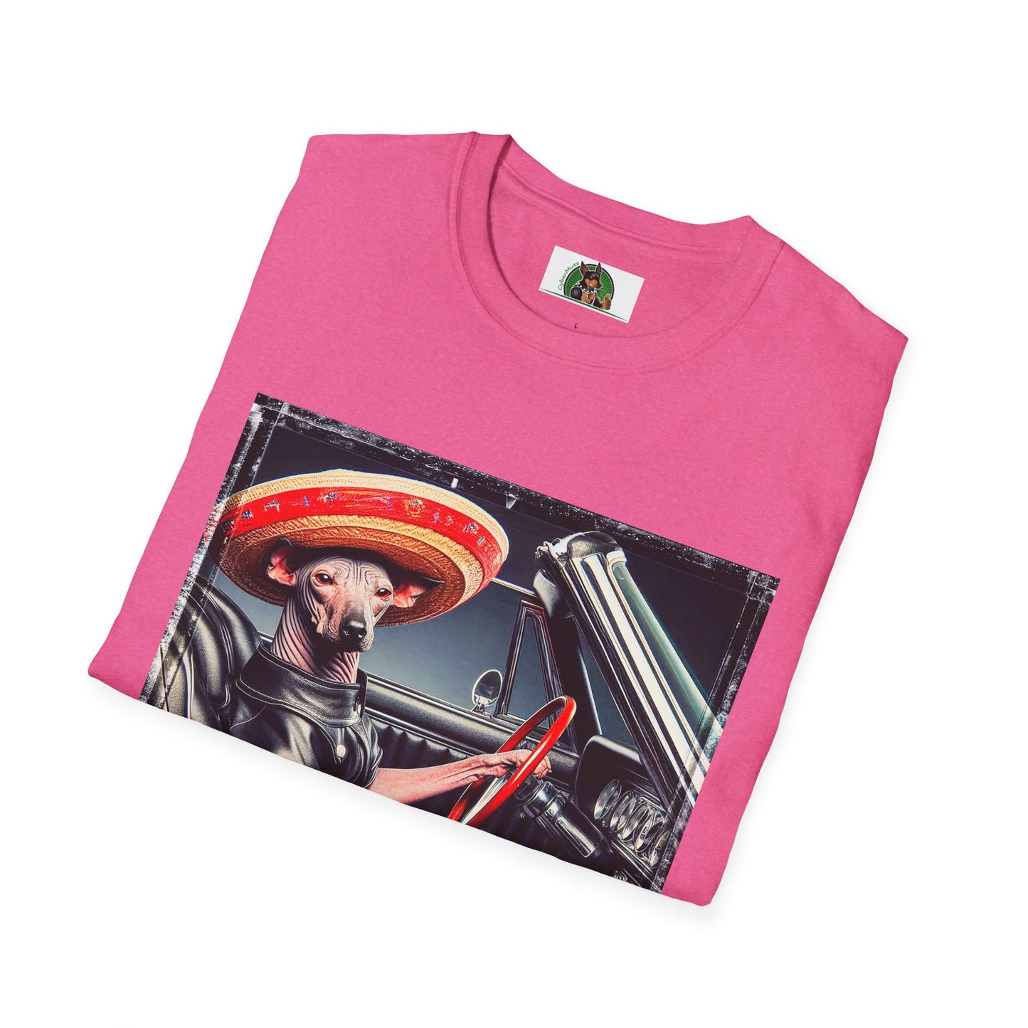 Mexican Hairless Dog Frirnds driving