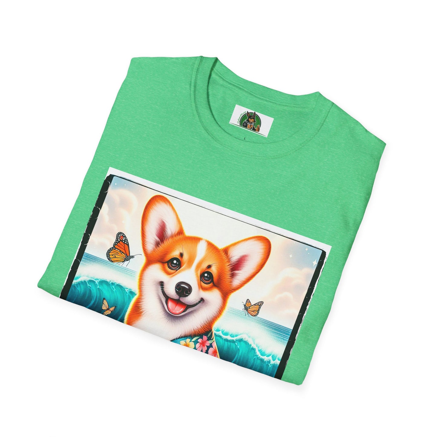 Pembroke Welsh Corgi tiny surfer