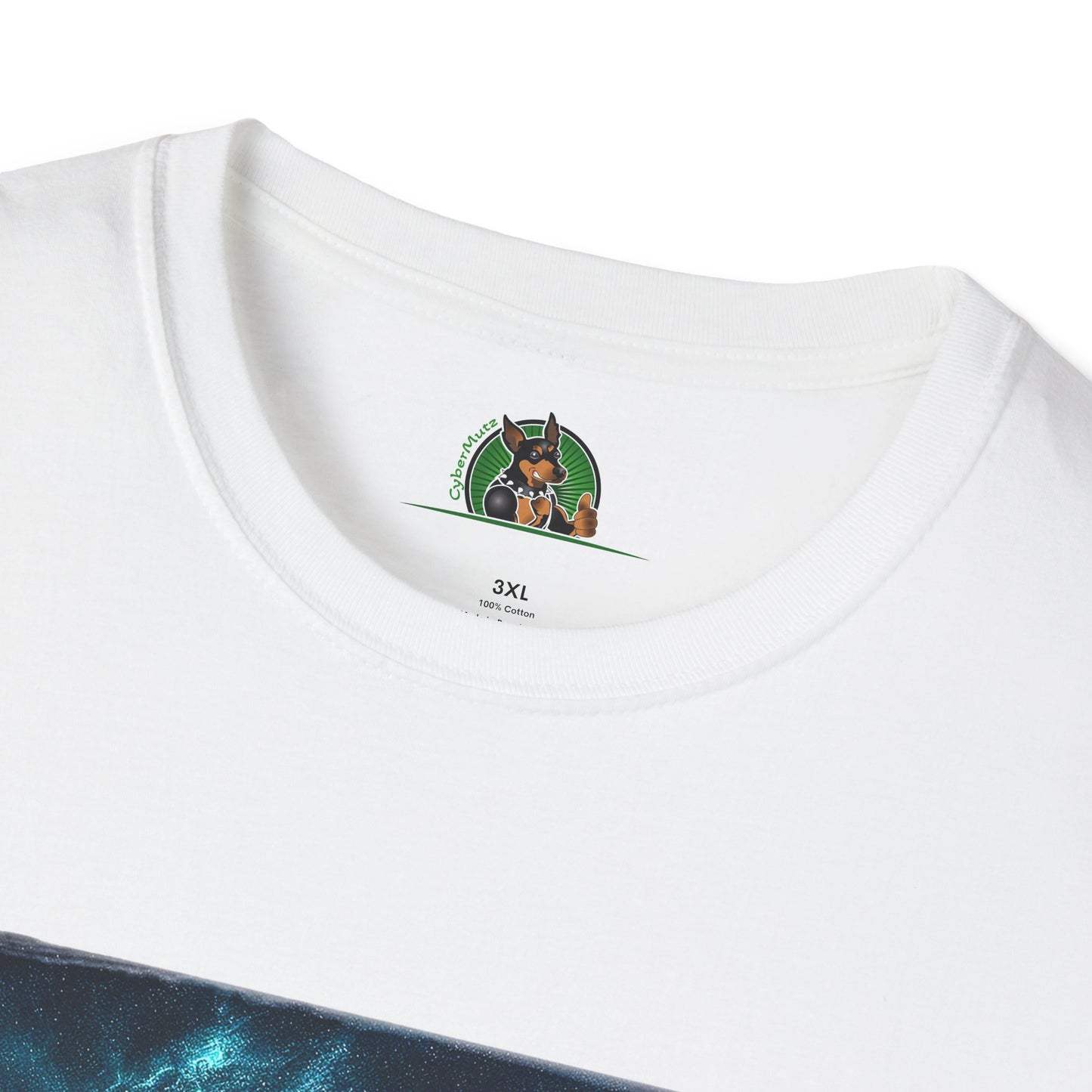 Australian Shepherd Rainbow Bridge At Night T-Shirt Printify