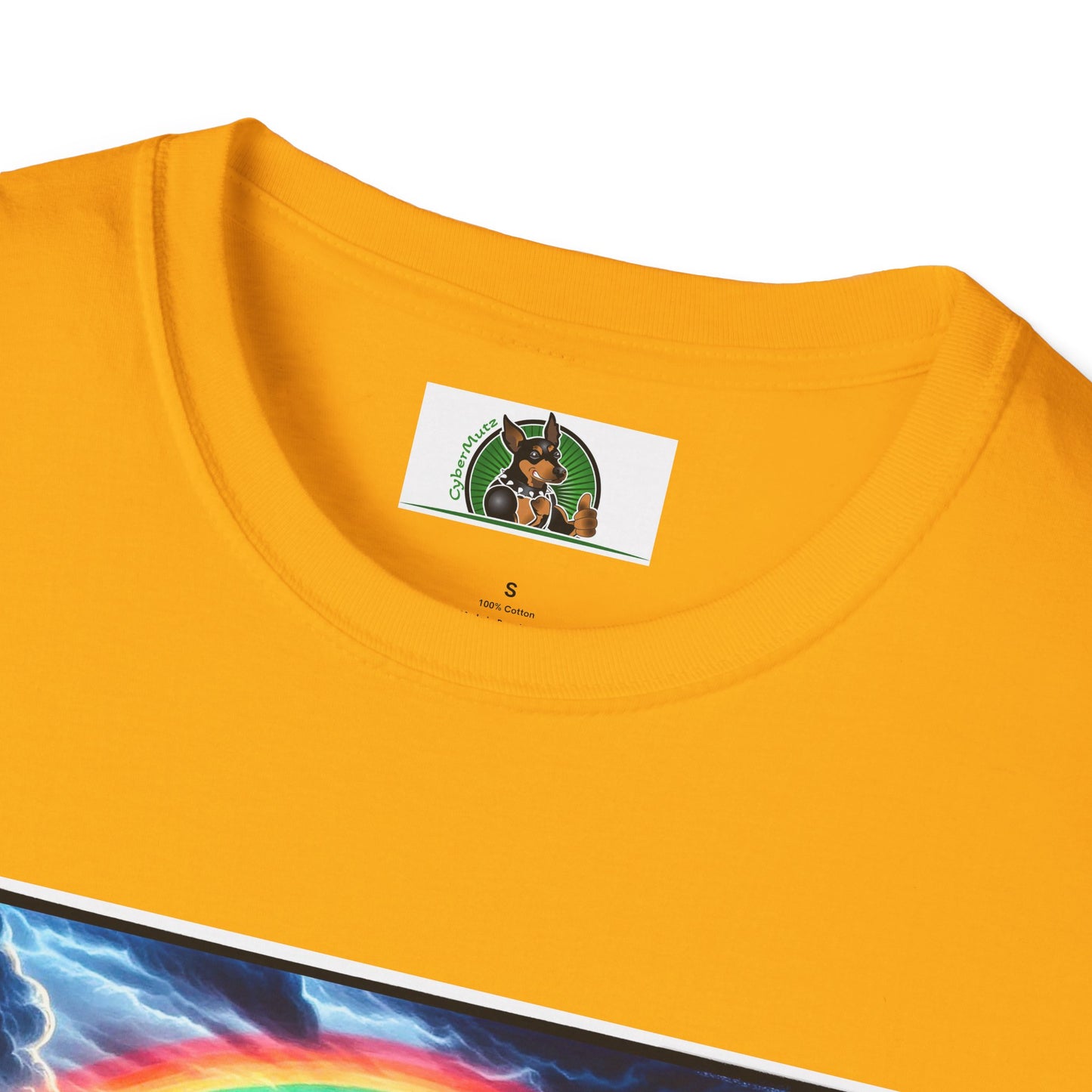 Australian Shepherd Walking Rainbow Bridge