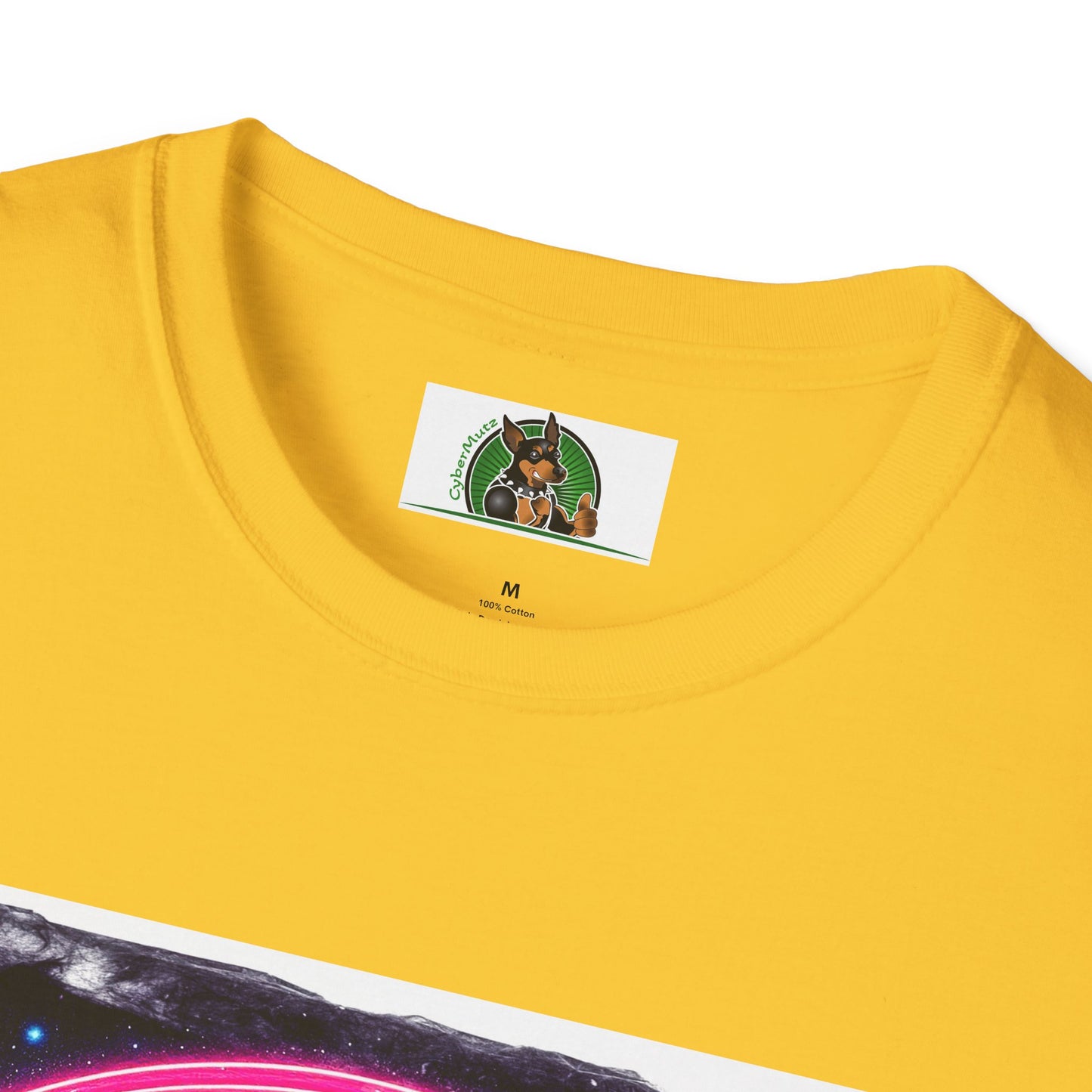 Boston Terrier Rainbow Bridge Shirt T-Shirt Printify