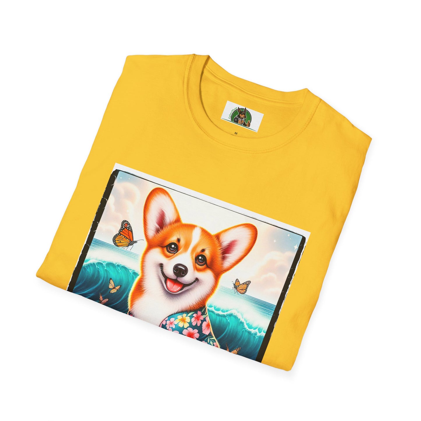 Pembroke Welsh Corgi tiny surfer