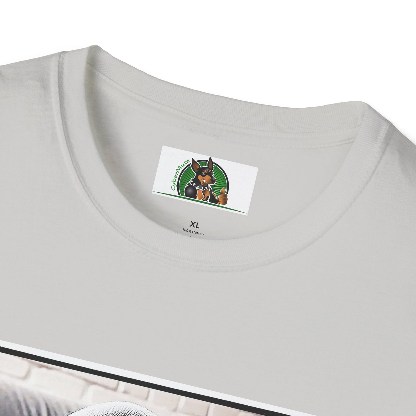 Basset Hound Draped In Blanket