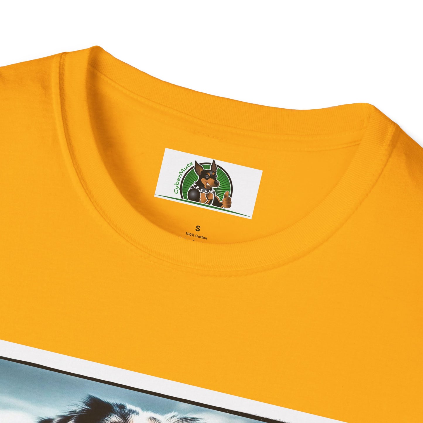 Australian Shepherd Muscle Dog