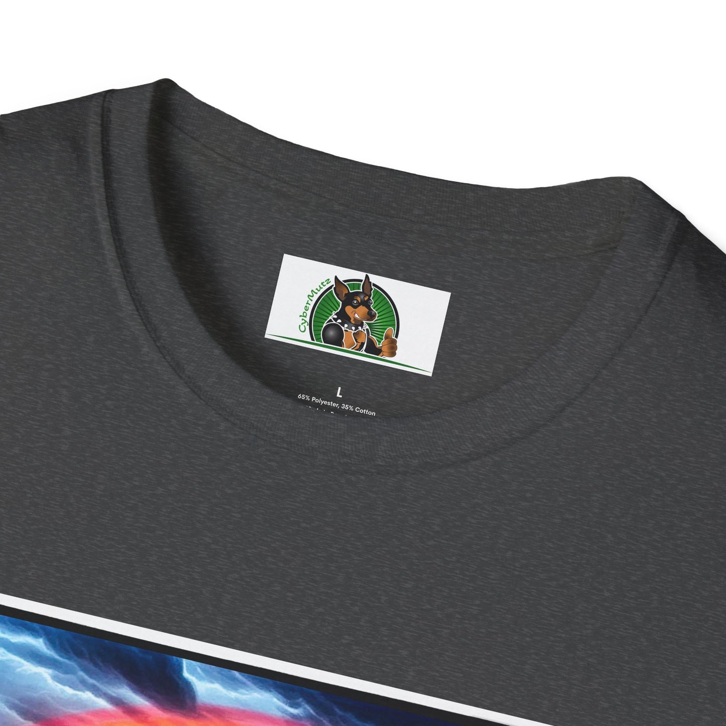 Australian Shepherd Walking Rainbow Bridge T-Shirt Printify