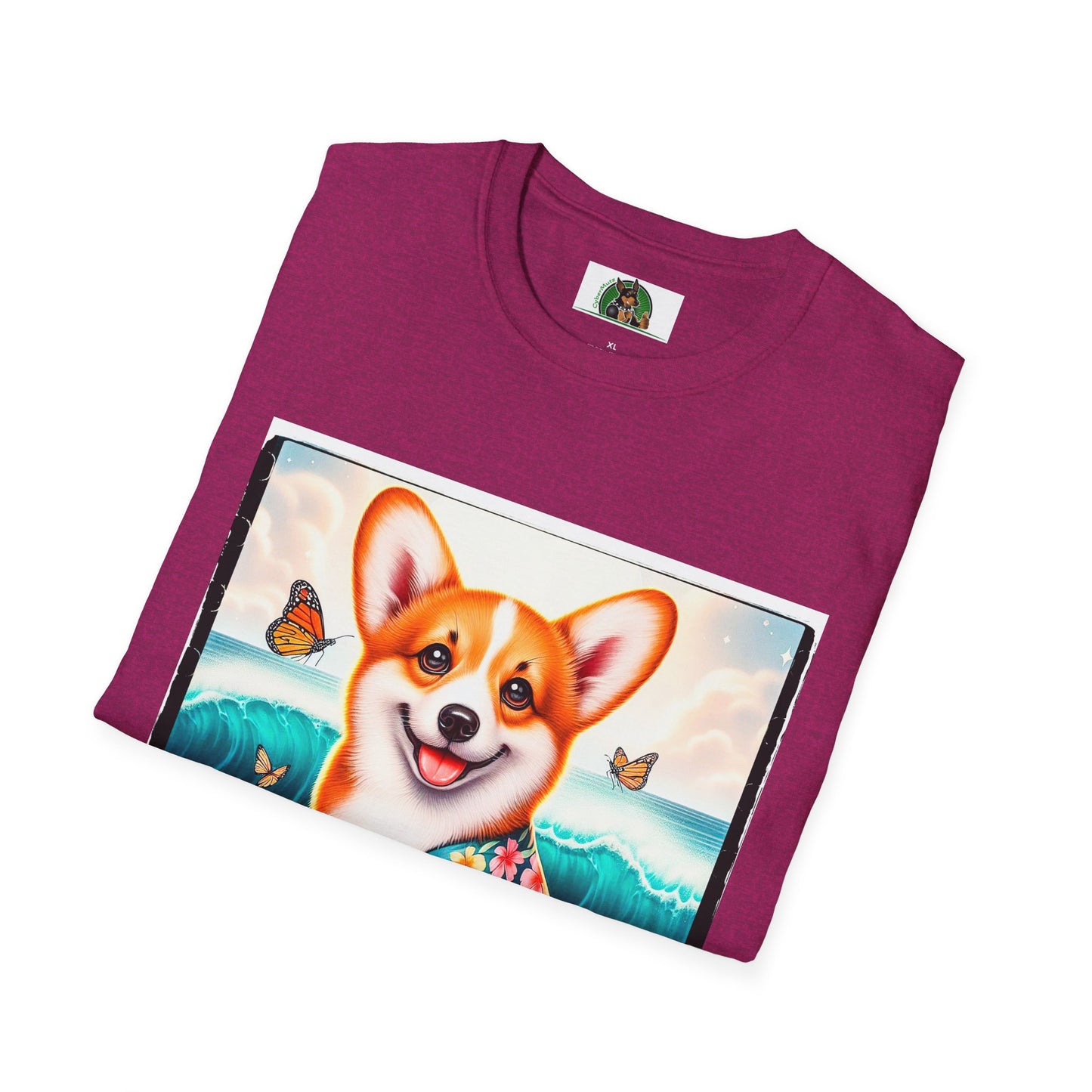 Pembroke Welsh Corgi tiny surfer