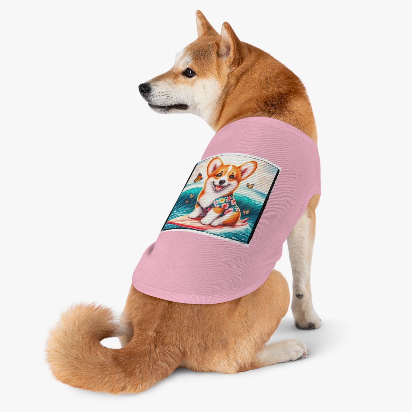 Pembroke Welsh Corgi tiny surfer
