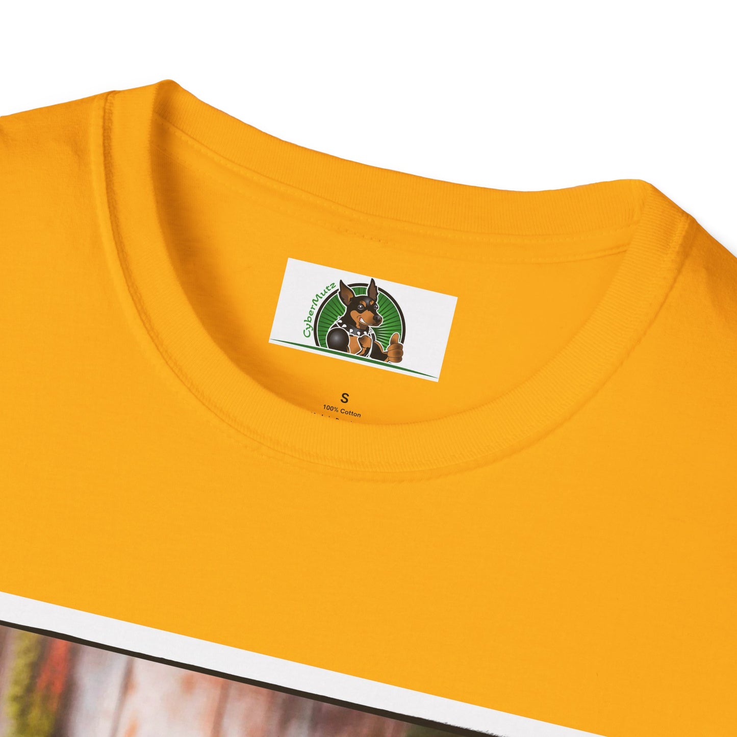 Australian Shepherd With Fedora Hat