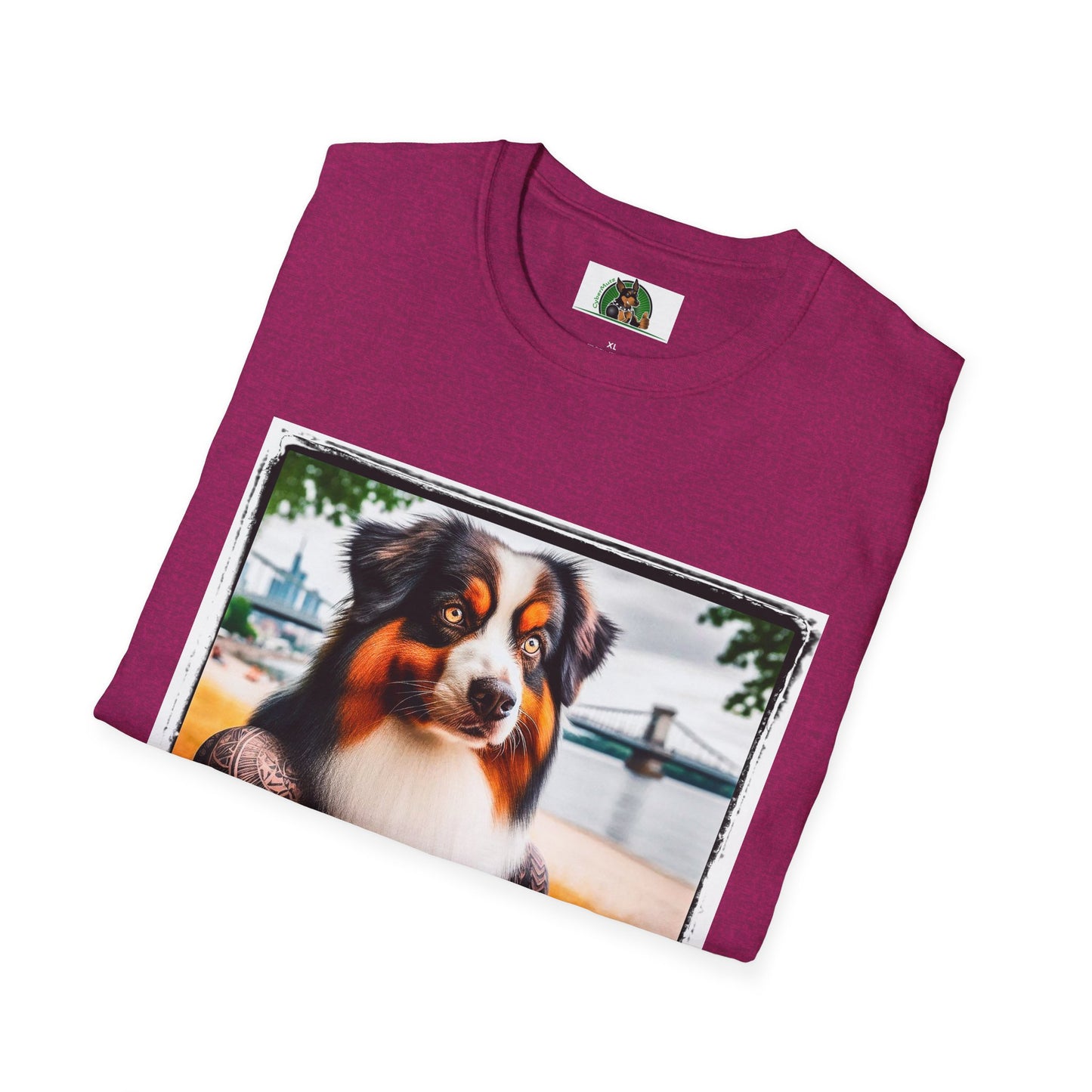 Australian Shepherd Tattooed And Buff