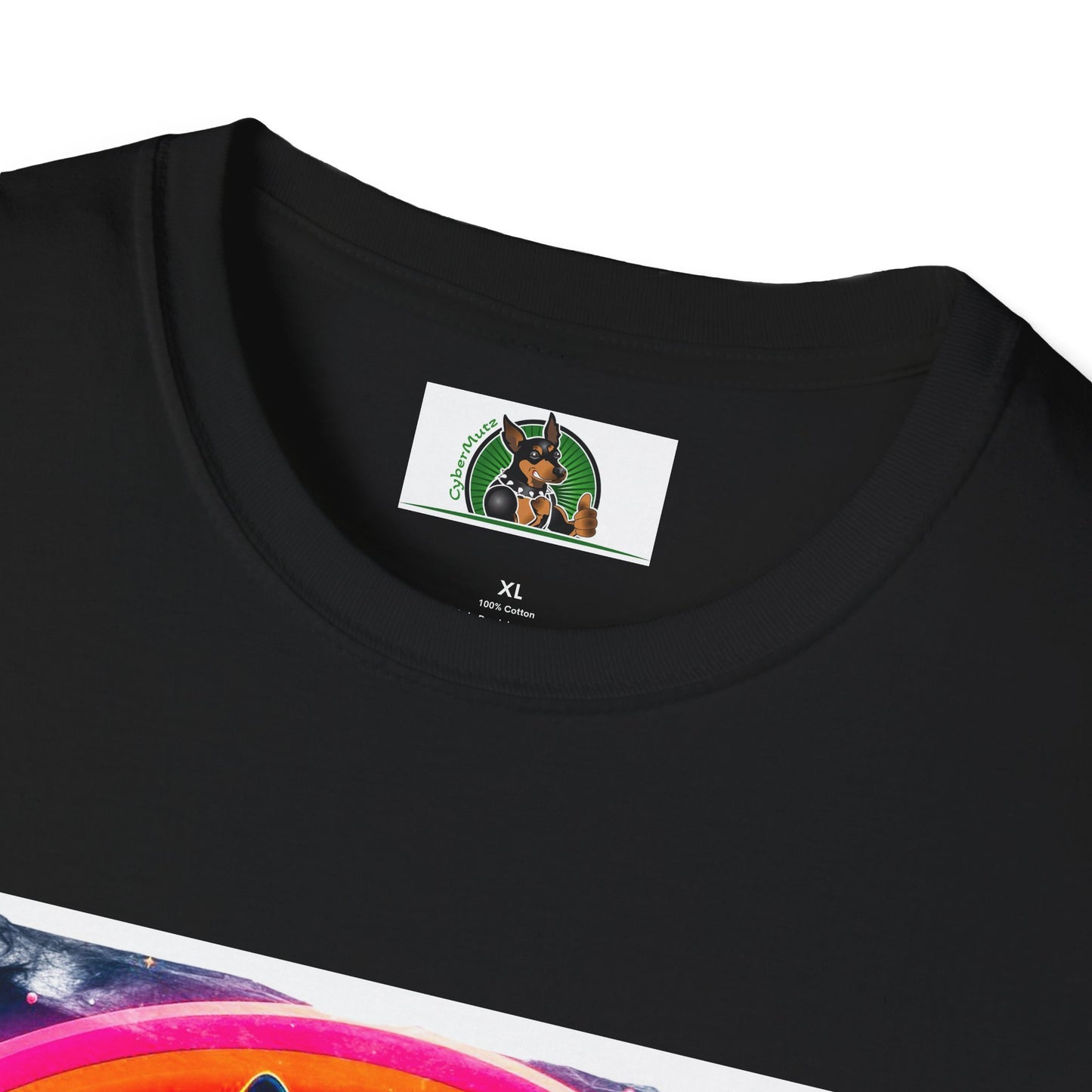 Boston Terrier Rainbow Bridge Dog At Beach T-Shirt Printify