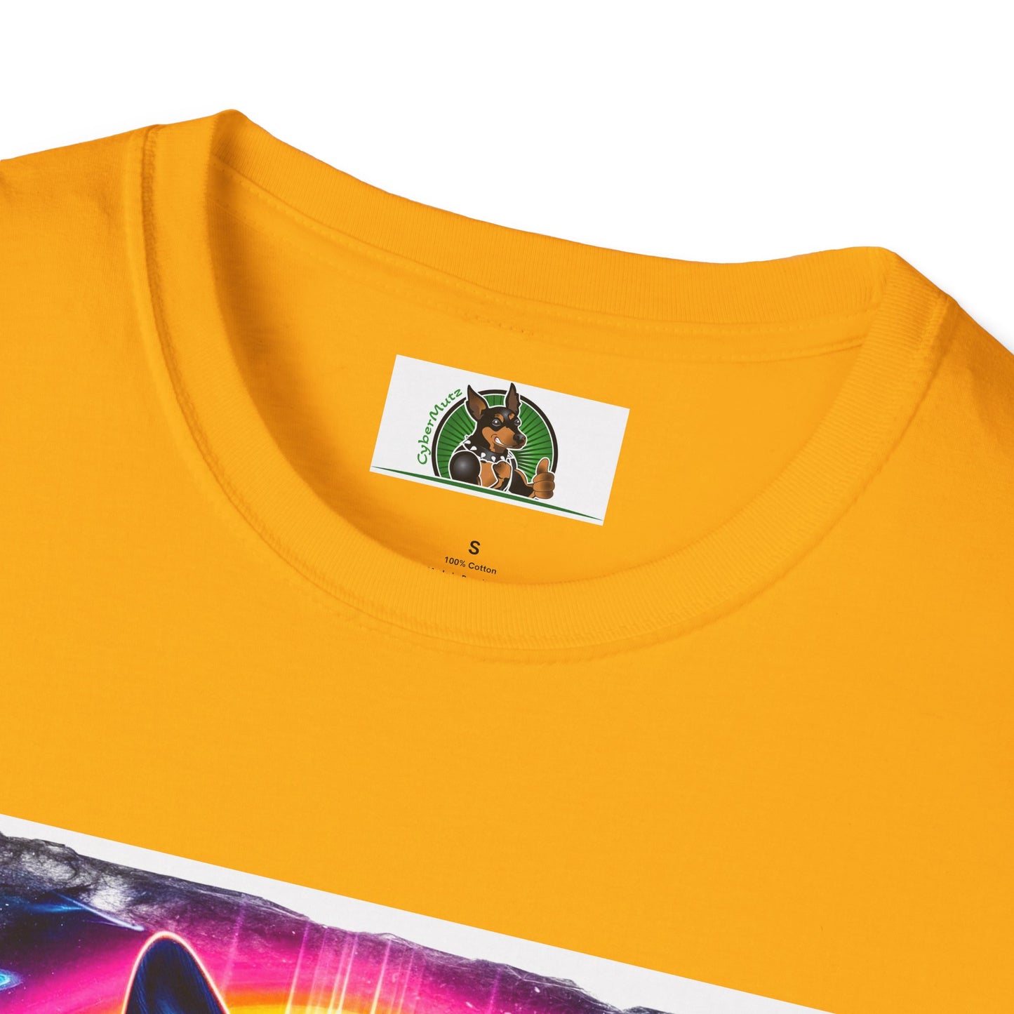 Boston Terriers Rainbow Bridge T-Shirt