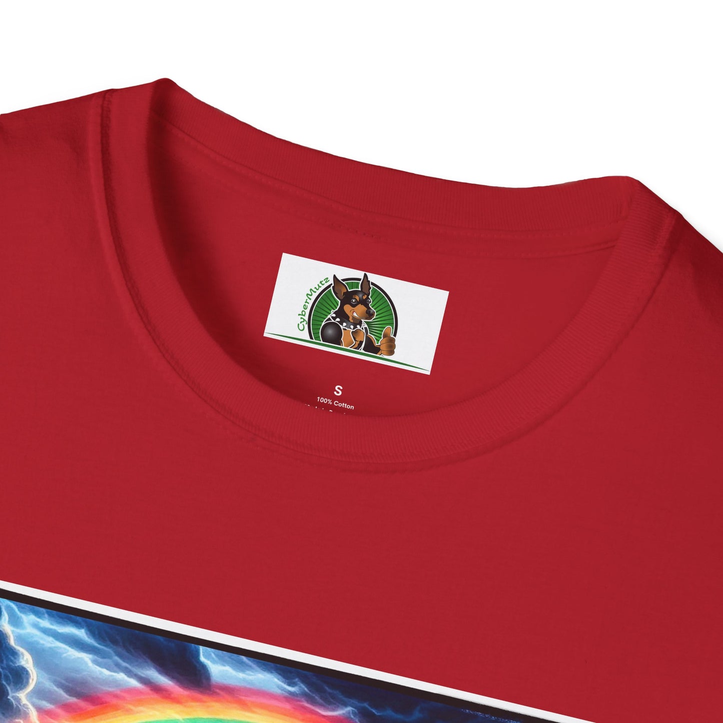 Australian Shepherd Walking Rainbow Bridge