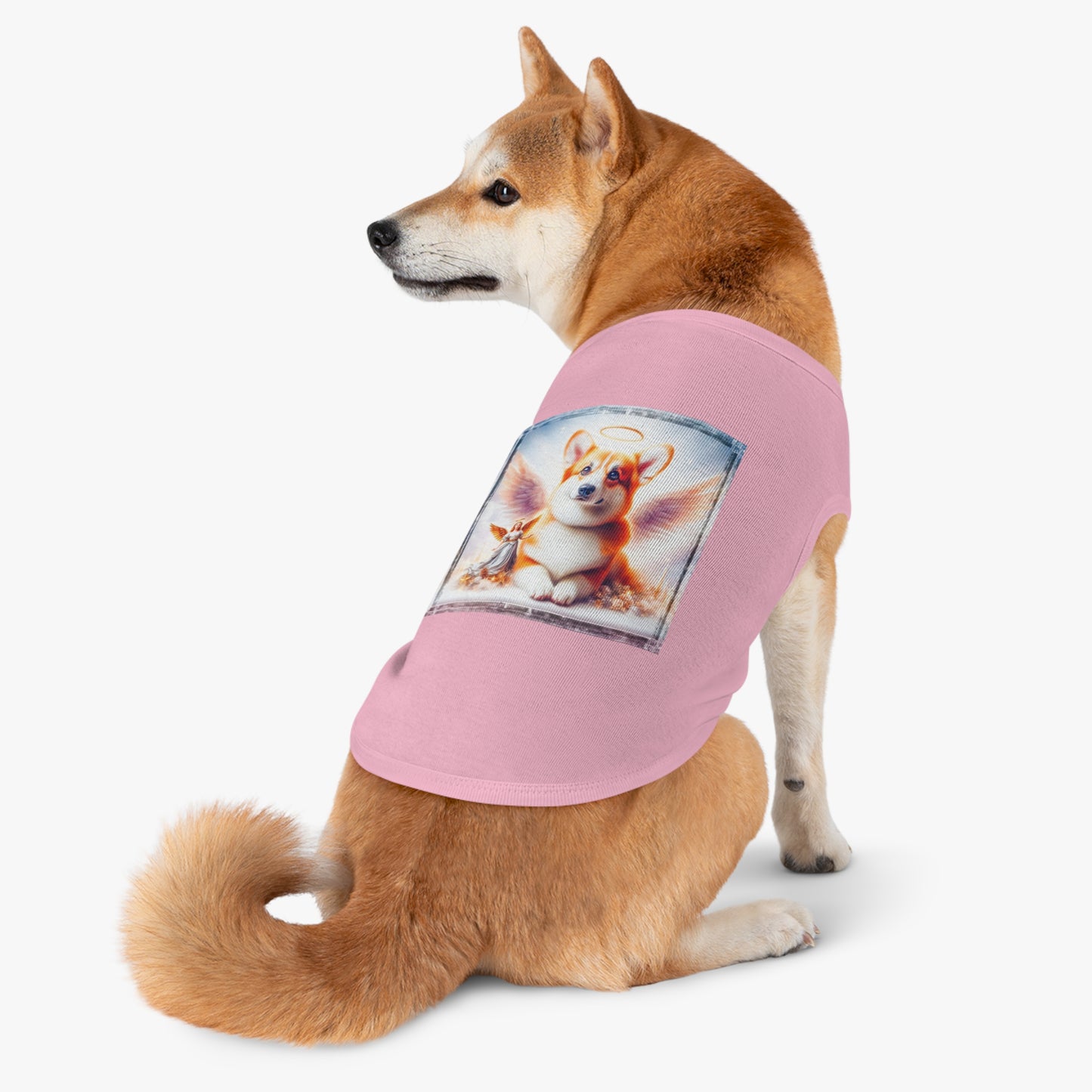 Pembroke Welsh corgi pretty Angel