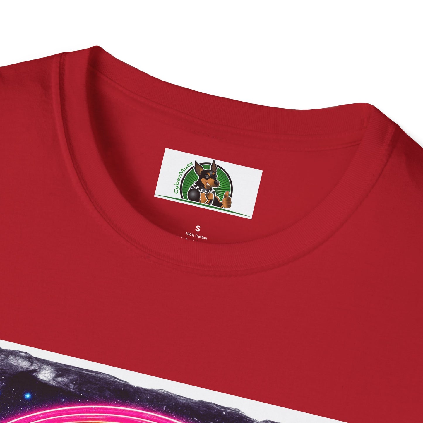 Boston Terrier Rainbow Bridge Shirt T-Shirt Printify