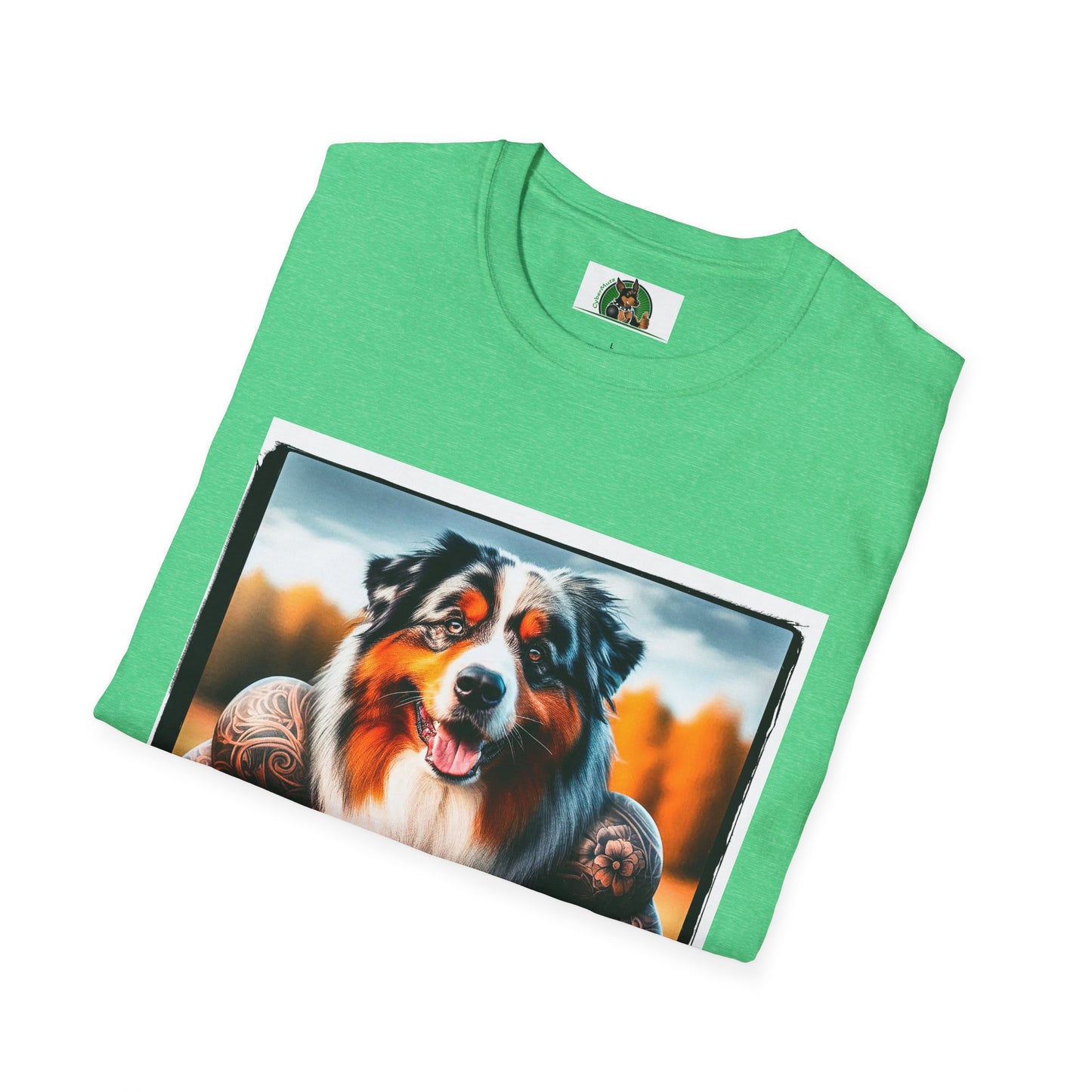 Australian Shepherd Muscle Dog