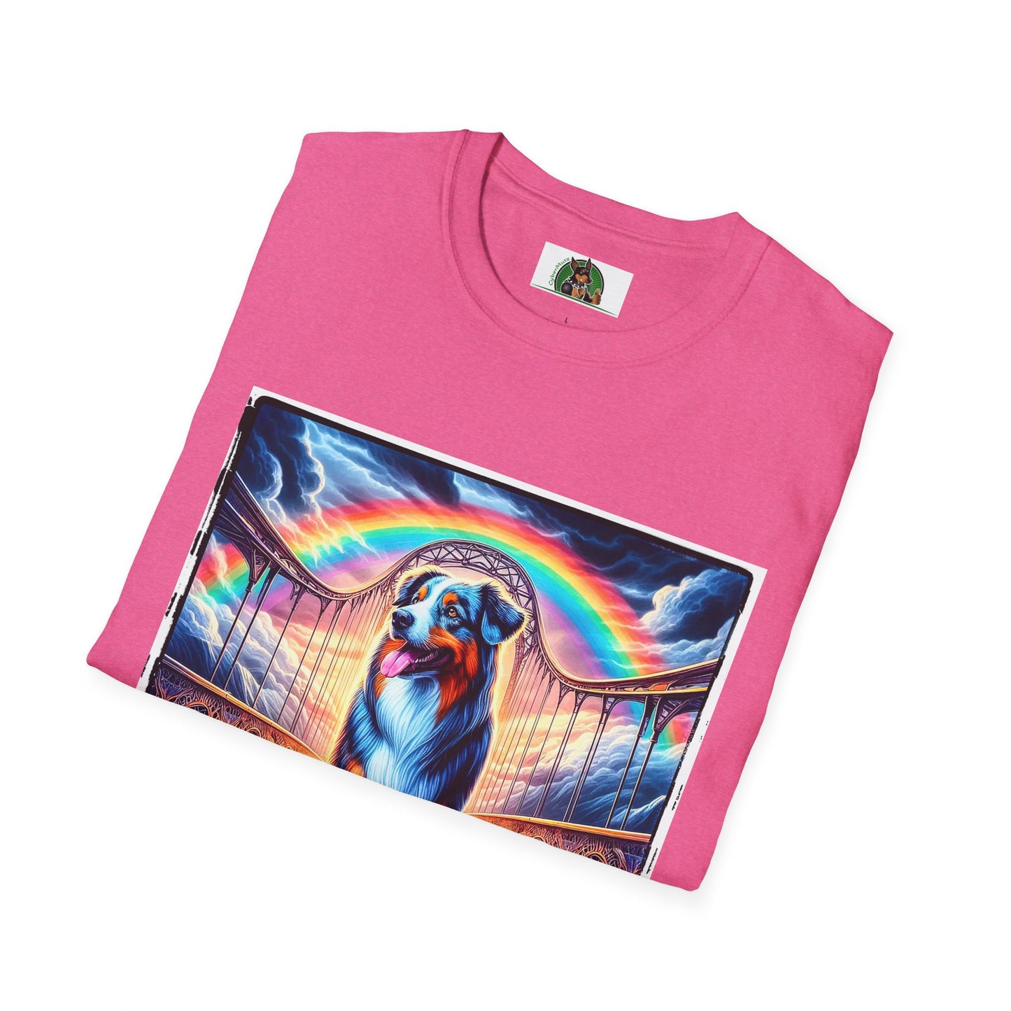 Australian Shepherd Walking Rainbow Bridge