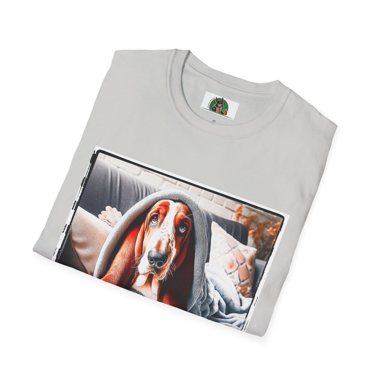 Basset Hound Draped In Blanket