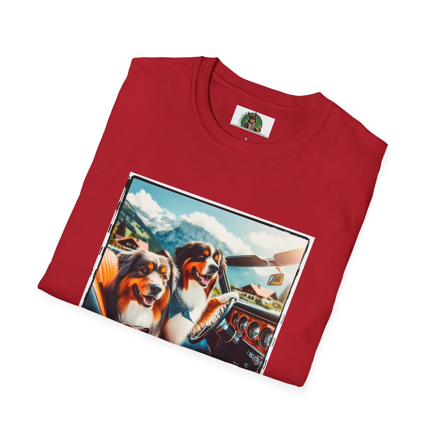 Australian Shepherd Dogs In Car