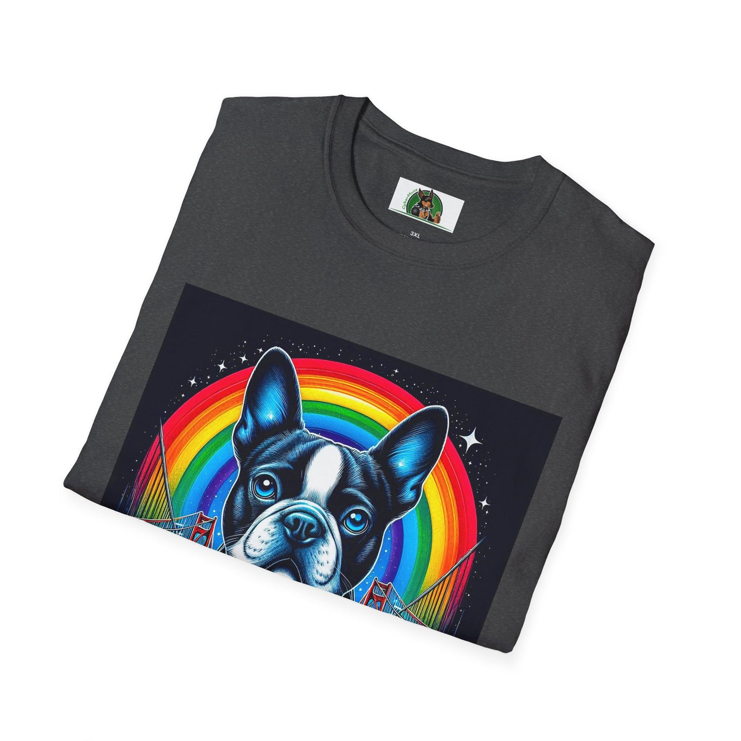 Boston Terrier Dog Overlooking Rainbow Bridge T-Shirt Printify