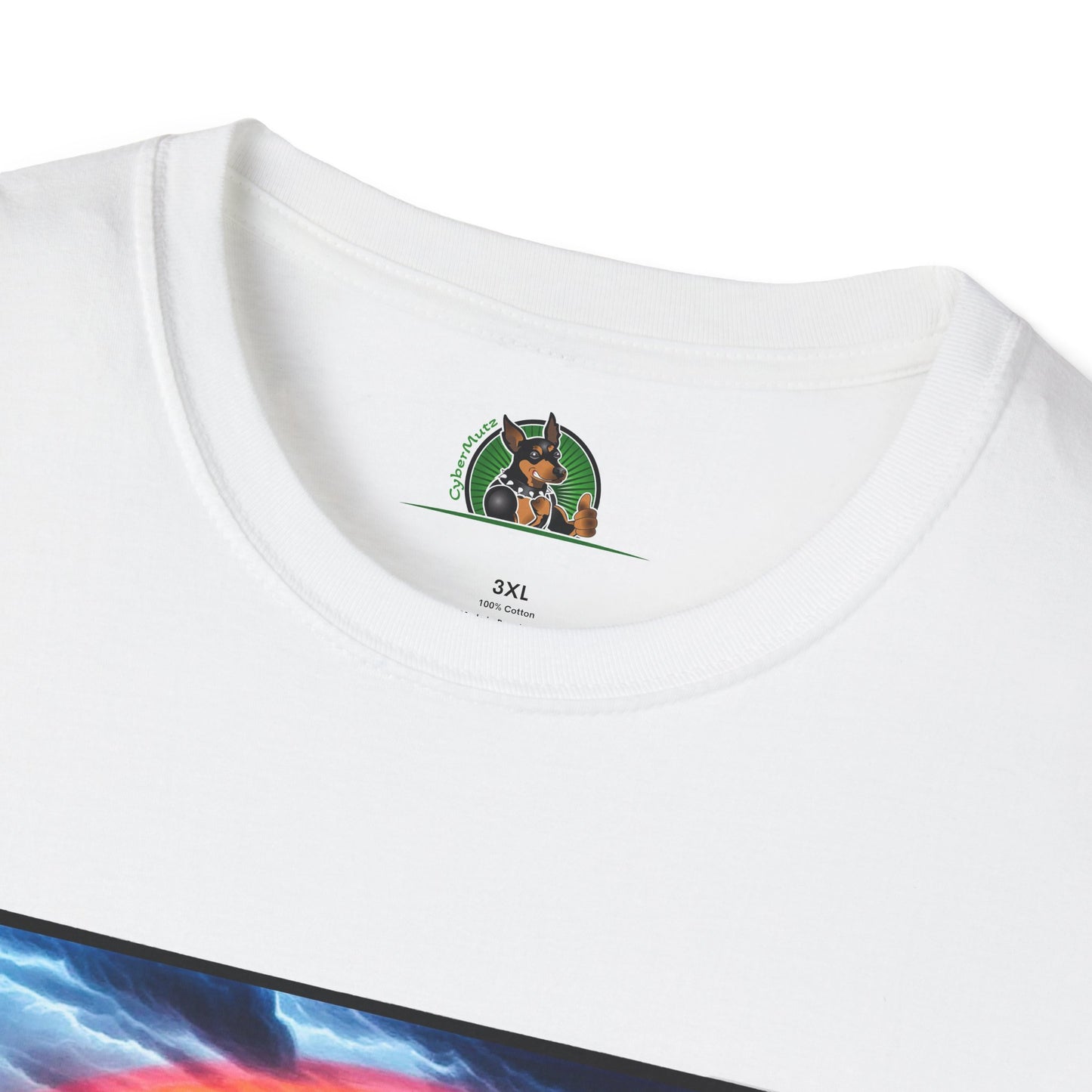 Australian Shepherd Walking Rainbow Bridge T-Shirt Printify