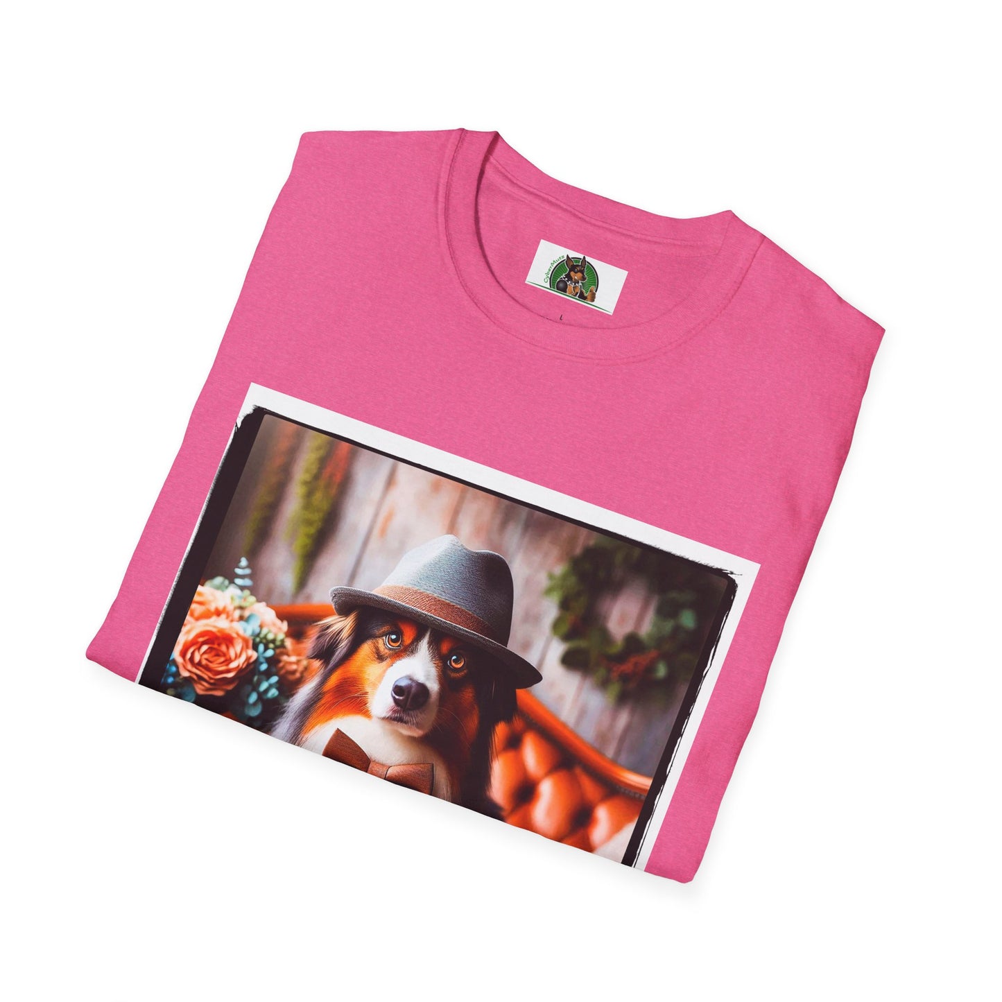 Australian Shepherd With Fedora Hat