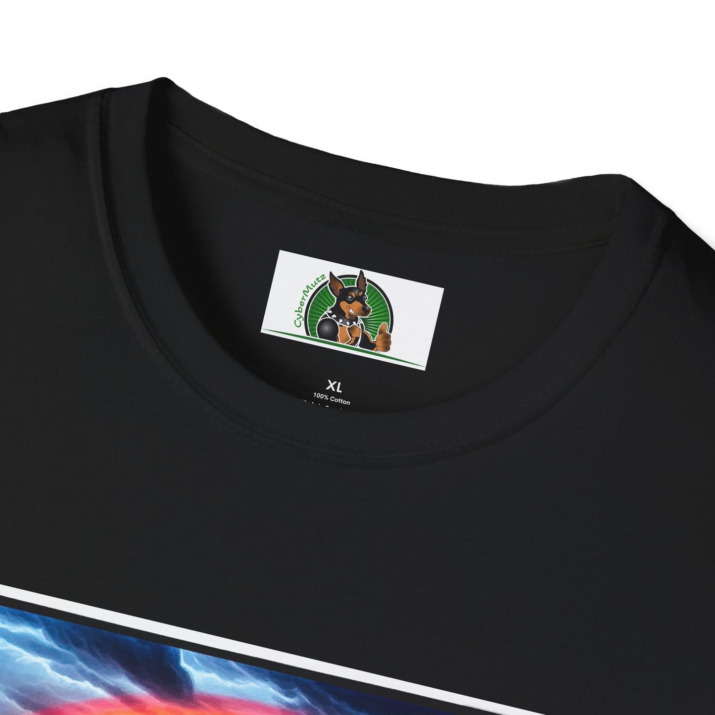 Australian Shepherd Walking Rainbow Bridge T-Shirt Printify