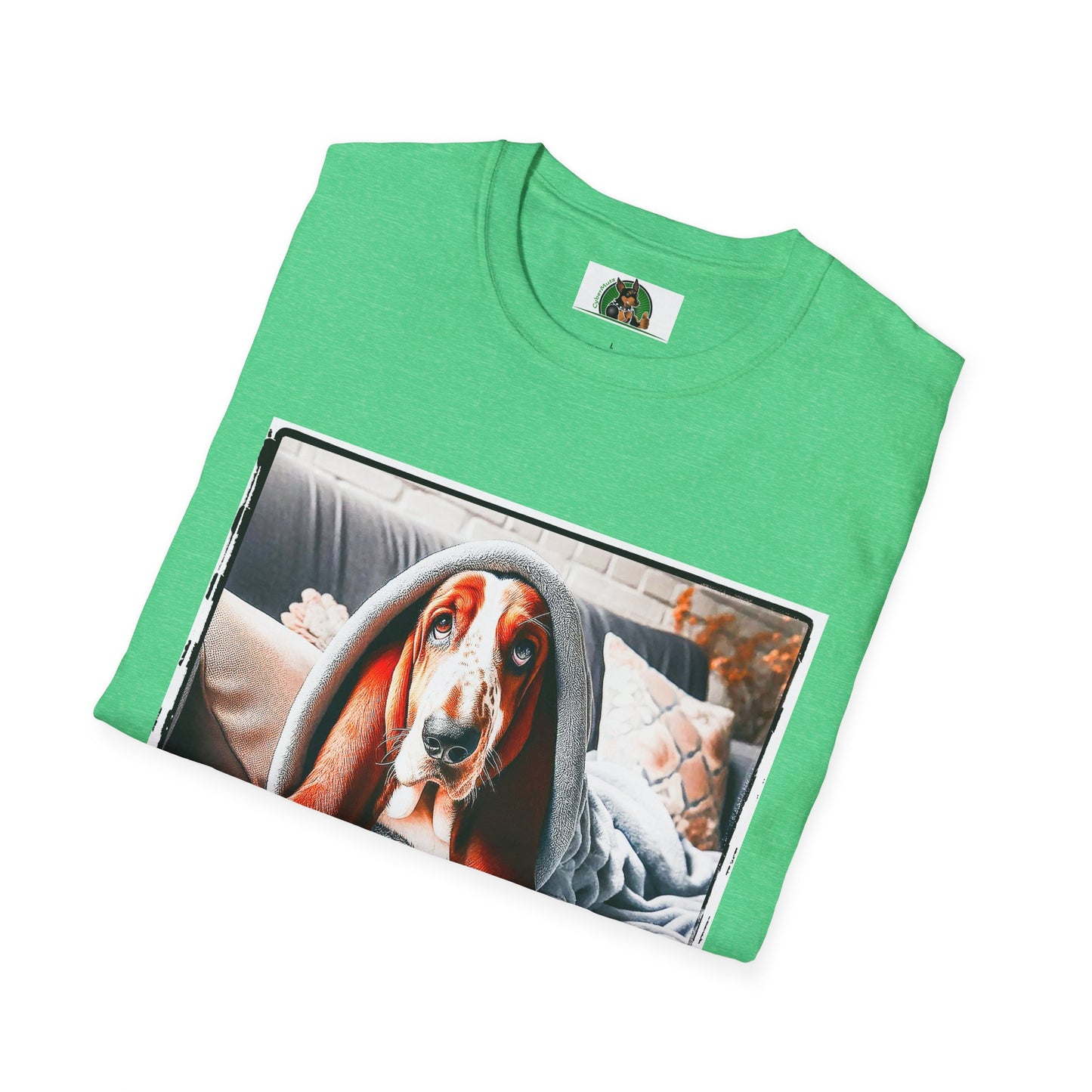 Basset Hound Draped In Blanket