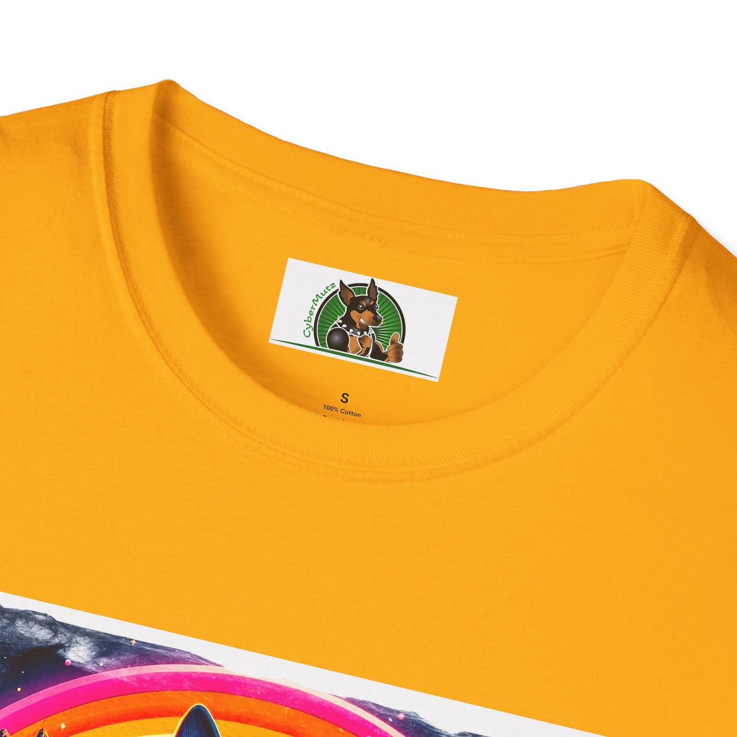 Boston Terrier Rainbow Bridge Dog At Beach T-Shirt Printify