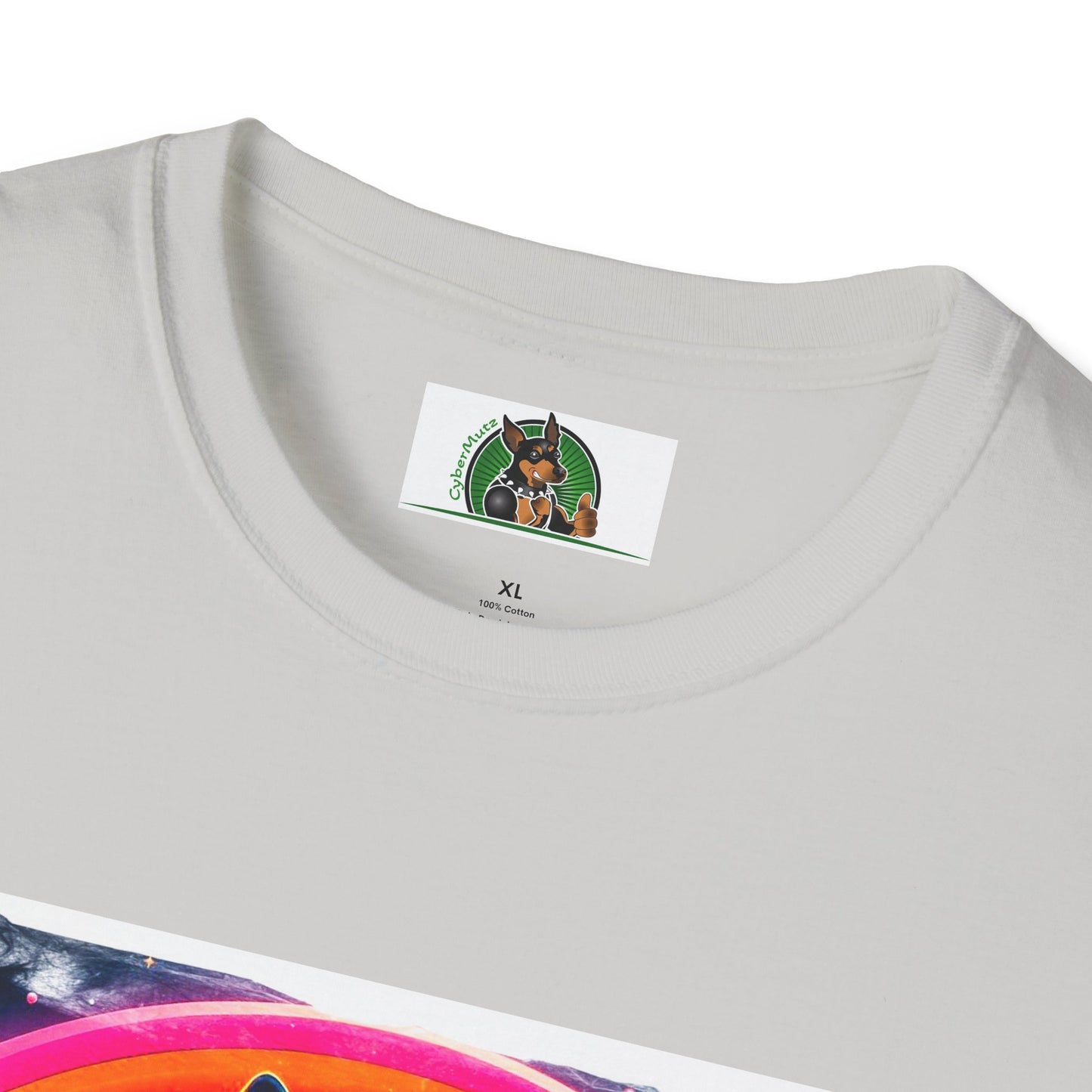 Boston Terrier Rainbow Bridge Dog At Beach T-Shirt Printify