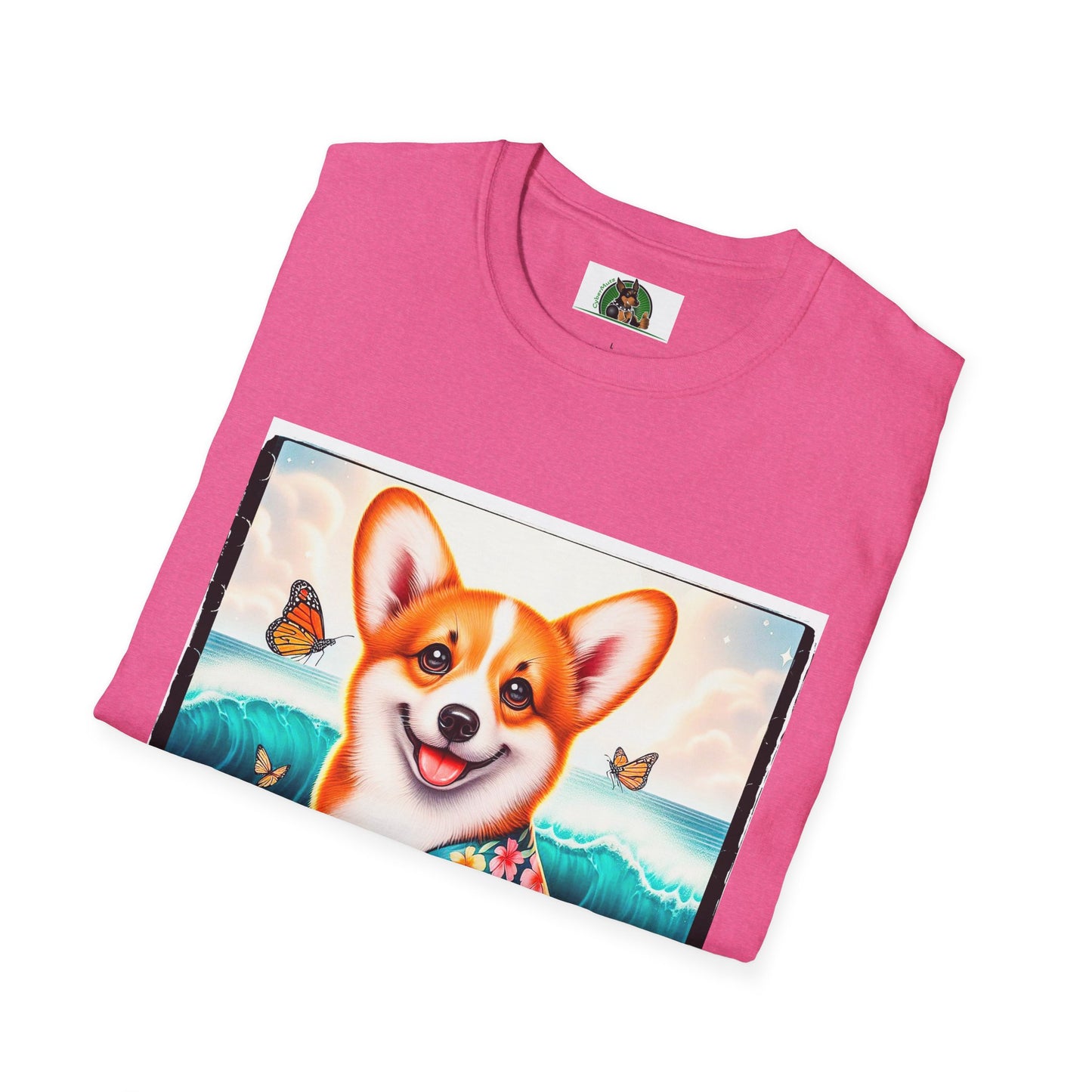Pembroke Welsh Corgi tiny surfer