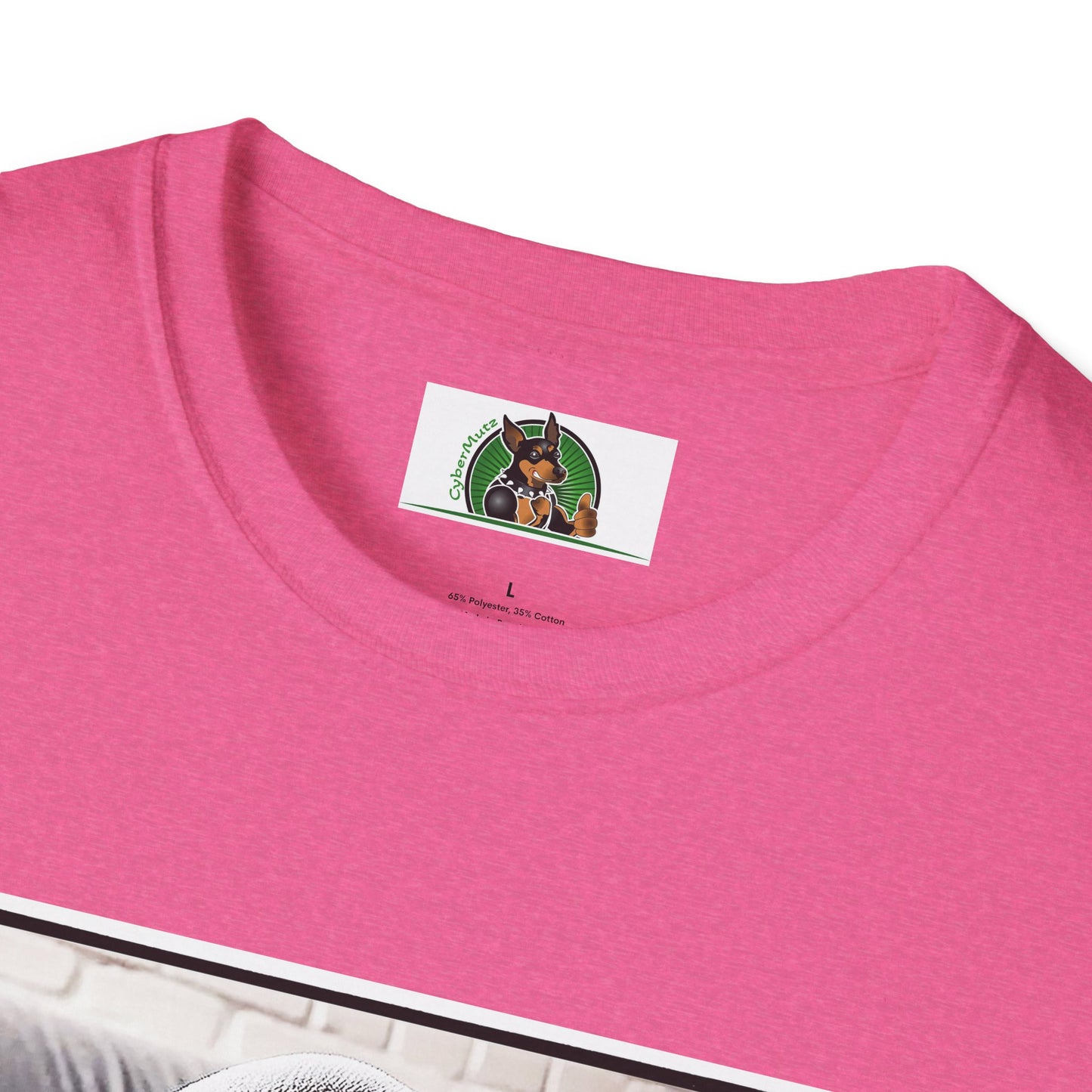 Basset Hound Draped In Blanket