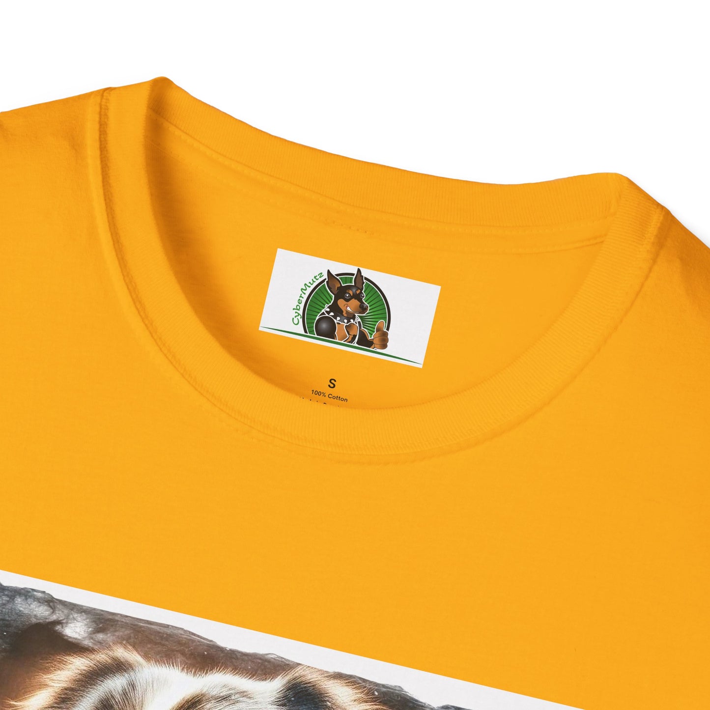 Australian Shepherd Profile Pic