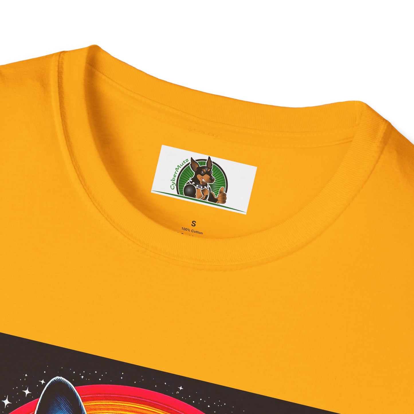 Boston Terrier Dog Overlooking Rainbow Bridge T-Shirt Printify