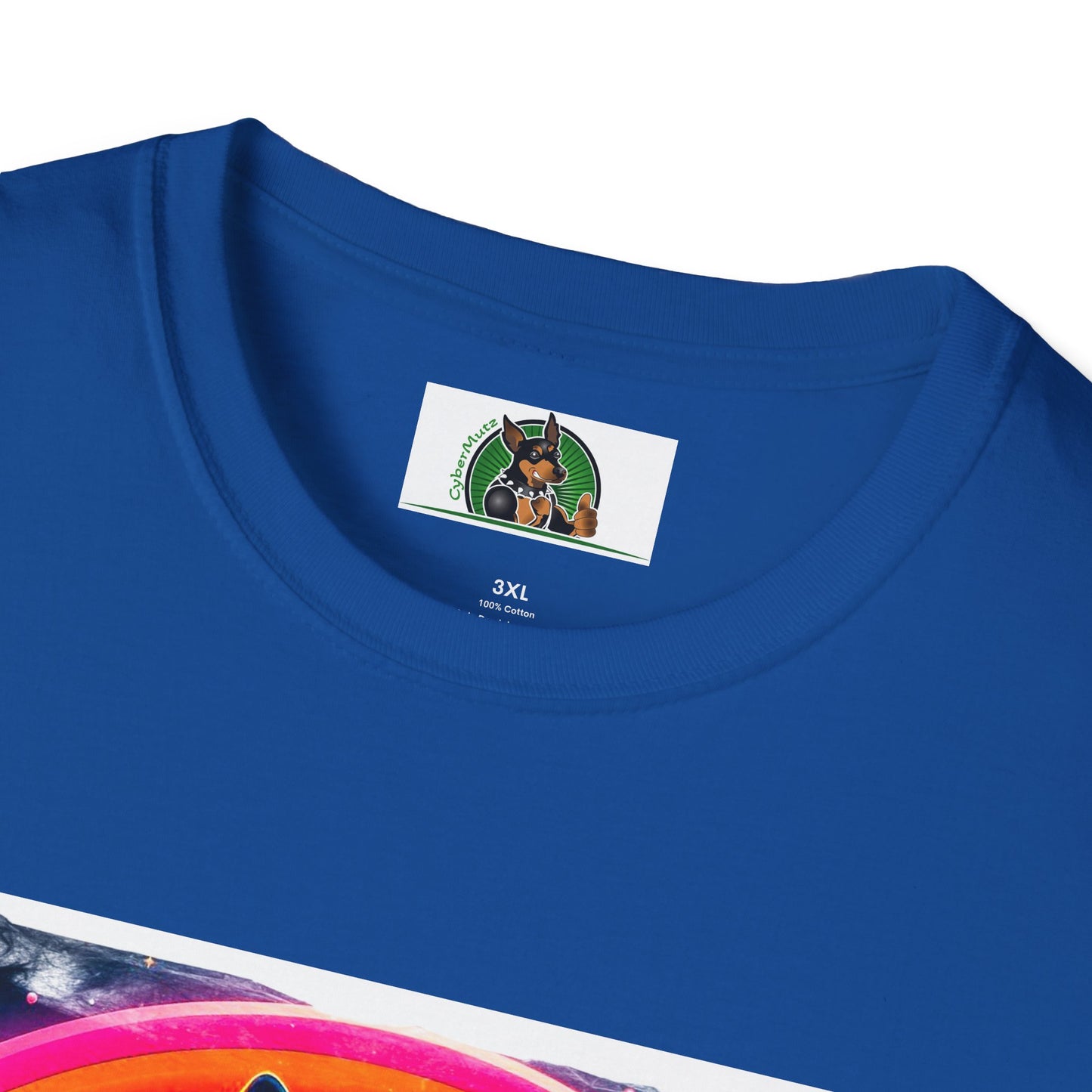 Boston Terrier Rainbow Bridge Dog At Beach T-Shirt Printify