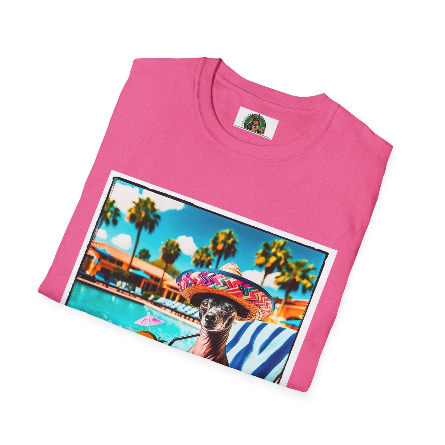 Mexican Hairless Dog fun in the sun