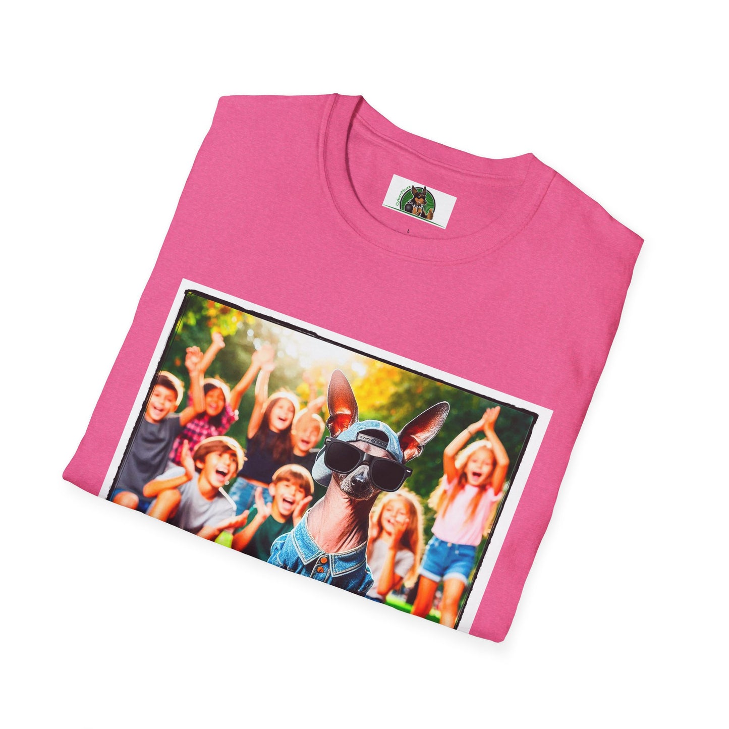 Mexican Hairless Dog skating fun