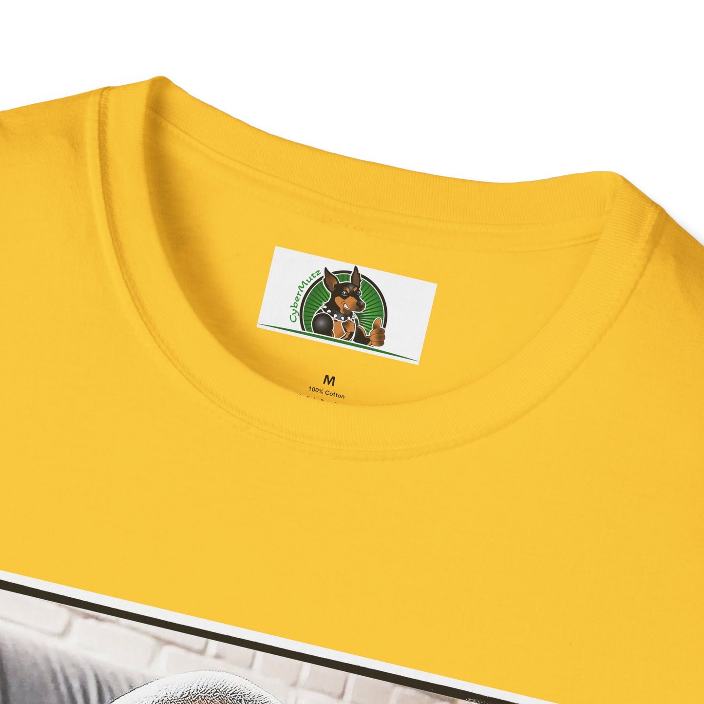 Basset Hound Draped In Blanket