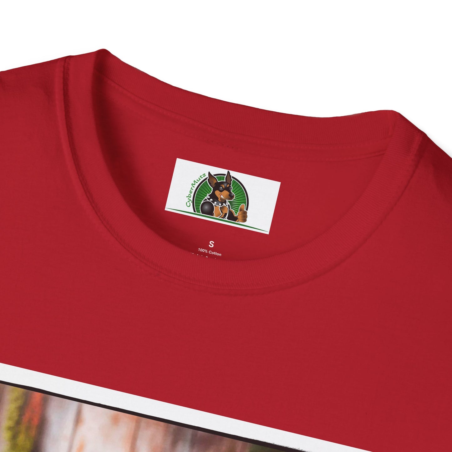 Australian Shepherd With Fedora Hat