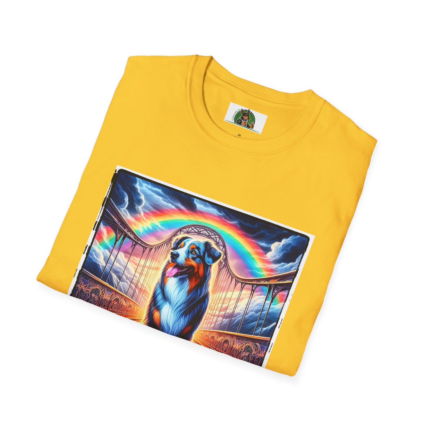 Australian Shepherd Walking Rainbow Bridge