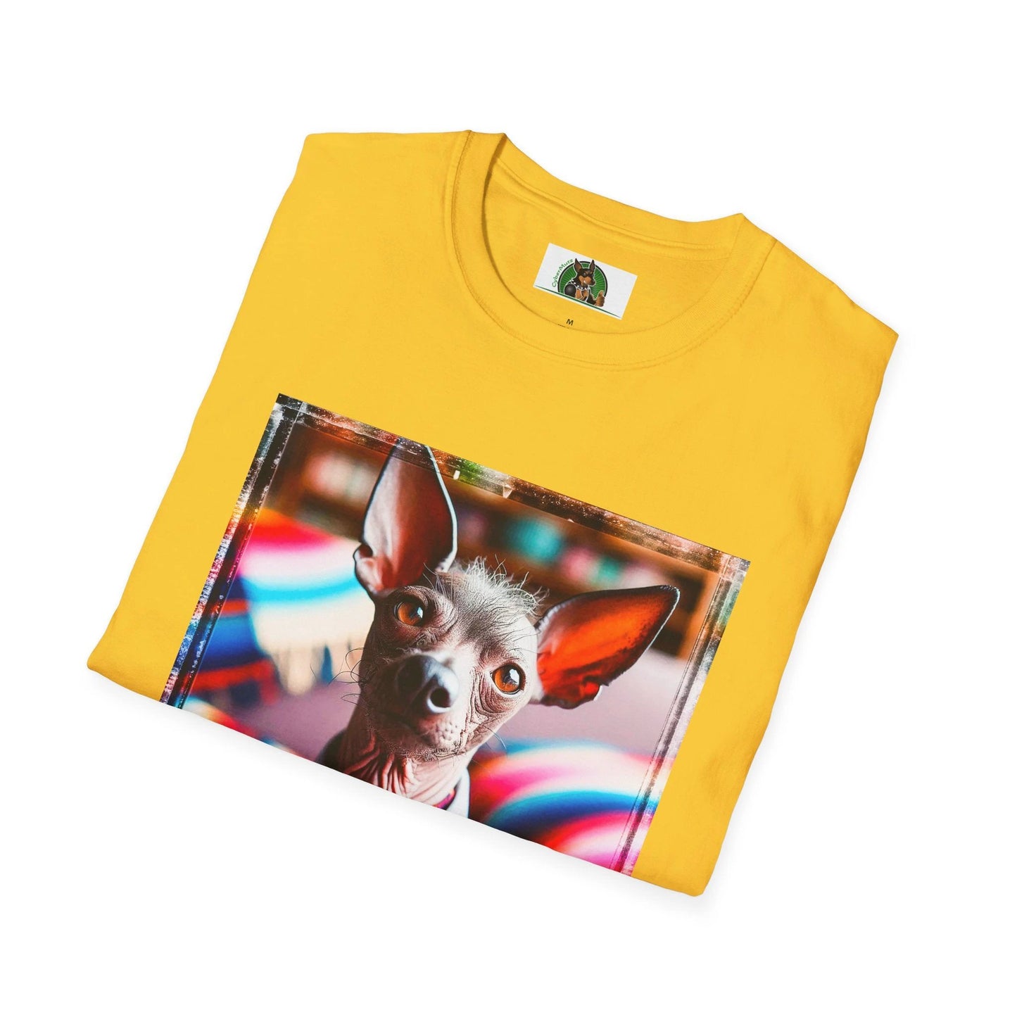 Mexican Hairless Dog bow tie cutie