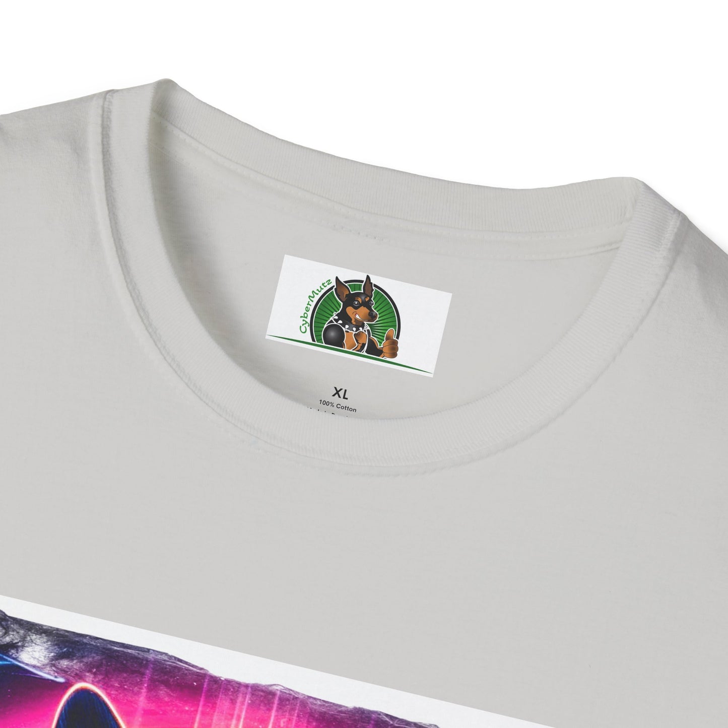 Boston Terriers Rainbow Bridge T-Shirt