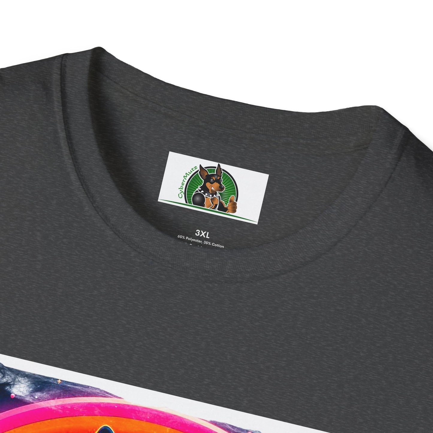 Boston Terrier Rainbow Bridge Dog At Beach T-Shirt Printify