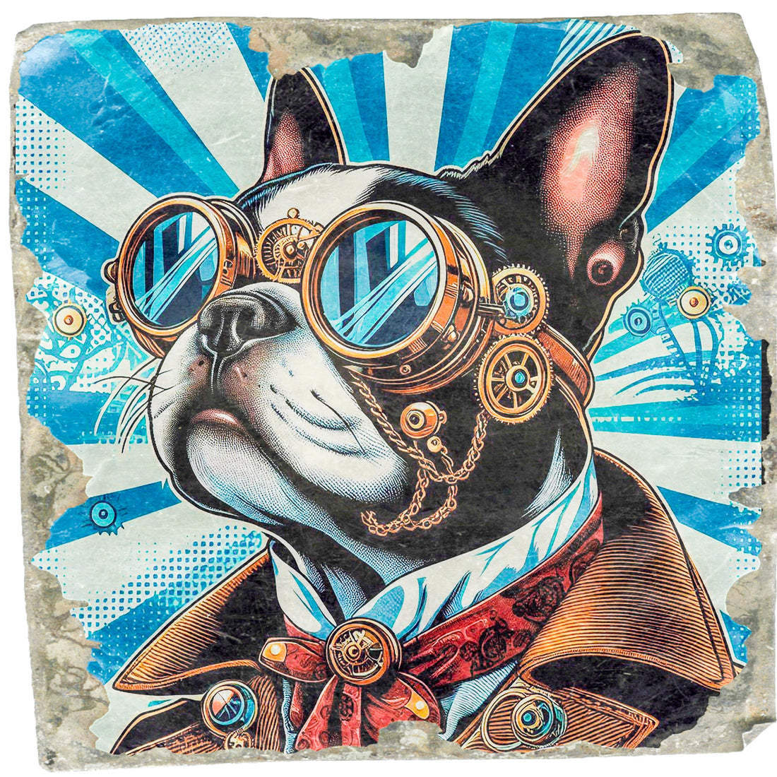 Boston Terrier Care Guide: Everything You Need to Know