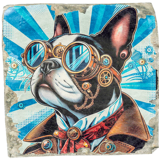 Boston Terrier Care Guide: Everything You Need to Know