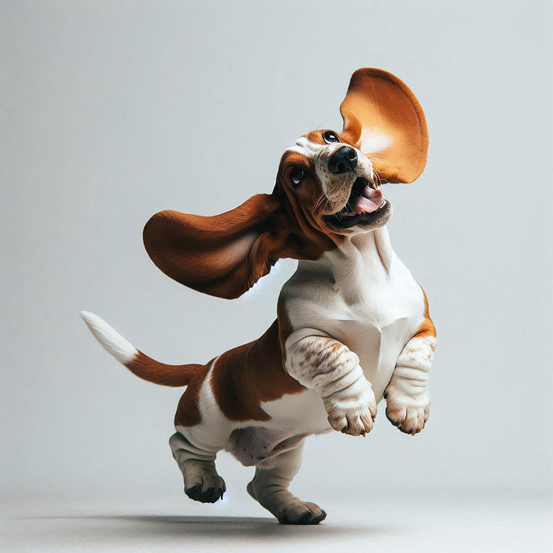 Featured image for Dog Names E: Dog Tips, Care & Owner Guide
