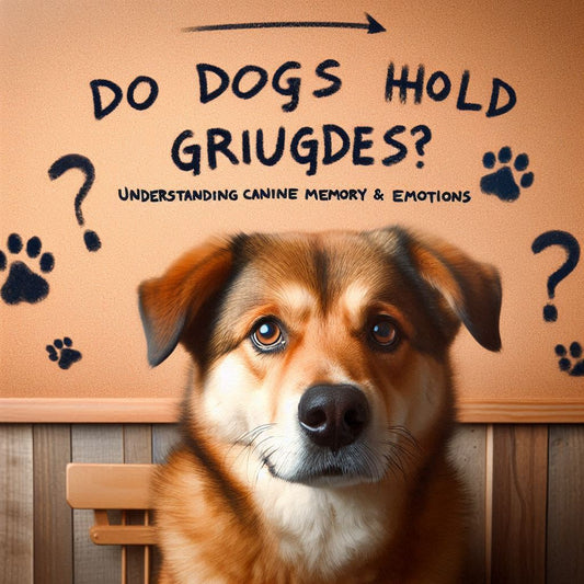 Do Dogs Hold Grudges? Understanding Canine Memory and Emotions