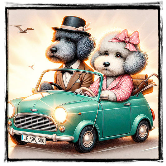 Featured image for Shepadoodle Care Guide: Complete Guide
