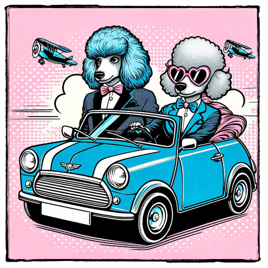 Poodle Care Guide: Everything You Need to Know