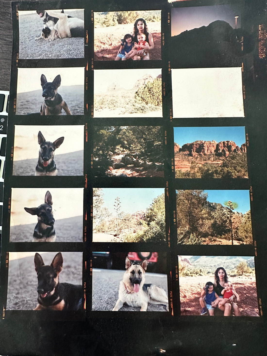 Featured image for Max, Meeka, Mooka, & Bosco: A Tribute to Four