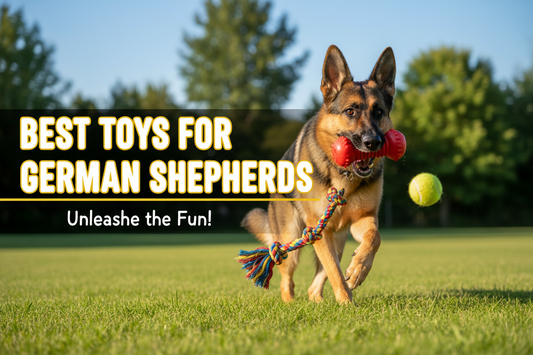 Best Toys for German Shepherds